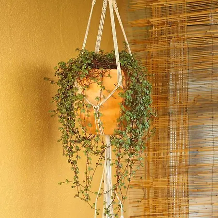 Welcoming House In Medros With Terrace 別荘 バルセロス